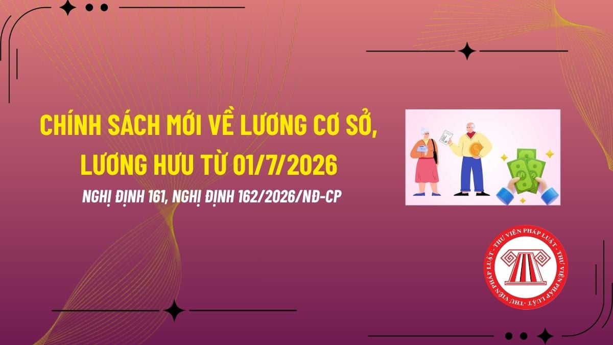 Pháp luật