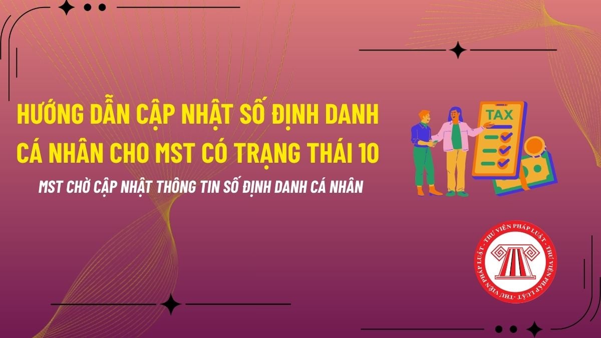 Pháp luật