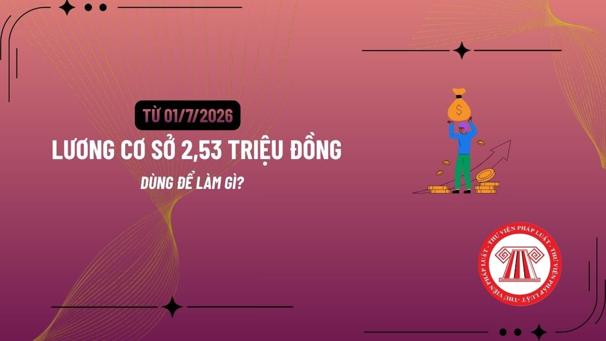 Pháp luật