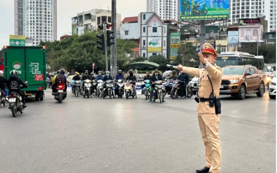 Pháp luật