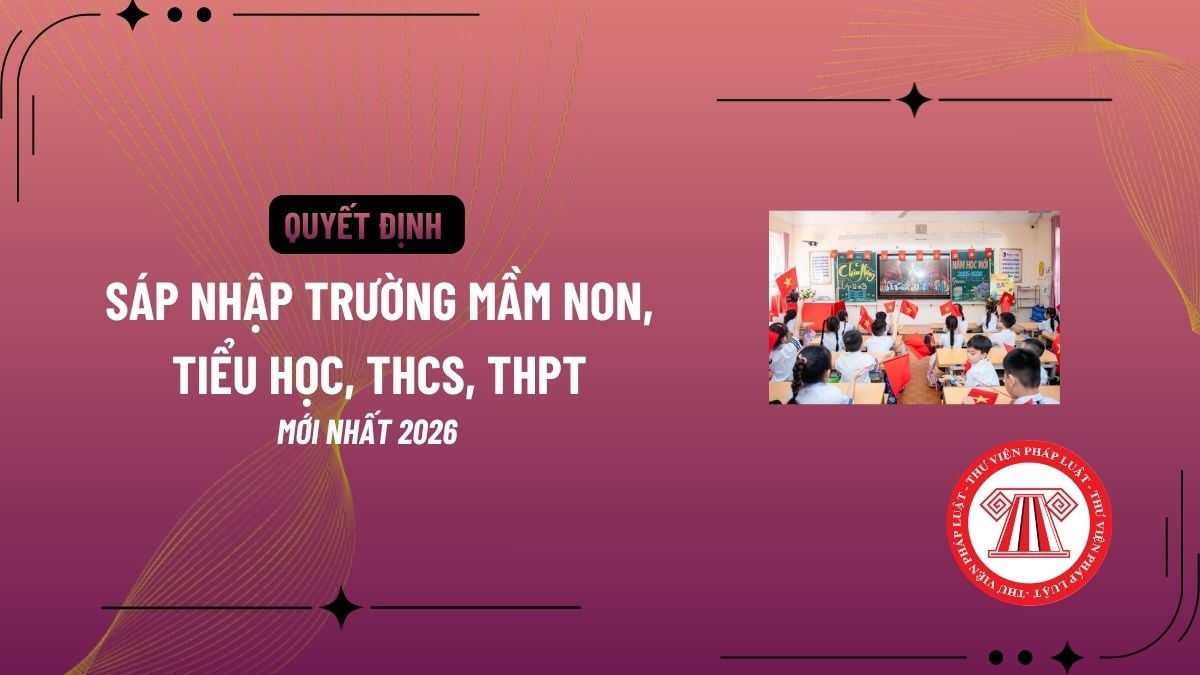 Pháp luật