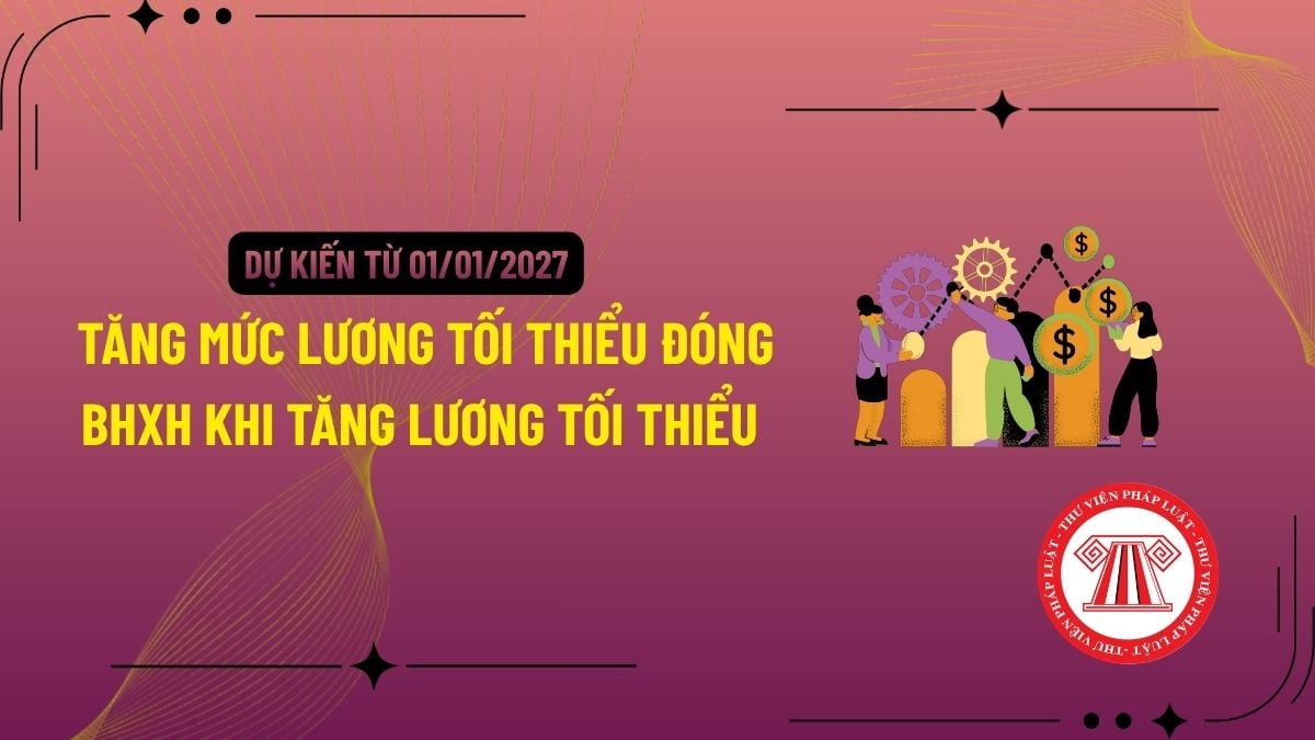 Pháp luật