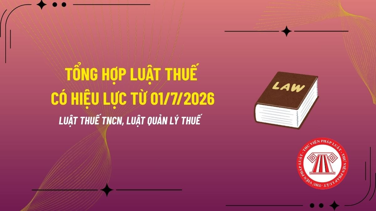 Pháp luật