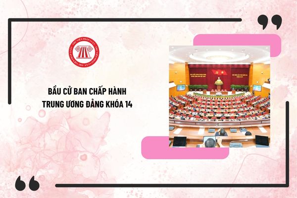 Pháp luật
