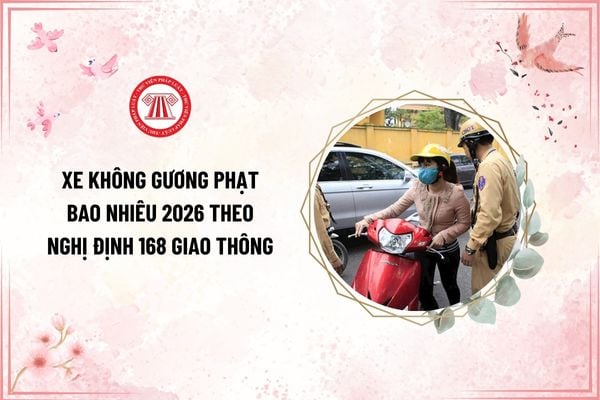 Pháp luật
