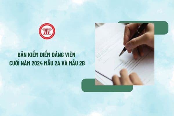 Mẫu viết sẵn bản kiểm điểm Đảng viên cuối năm 2024 mẫu 2A và Mẫu 2B mới nhất? Tải mẫu về ở đâu?