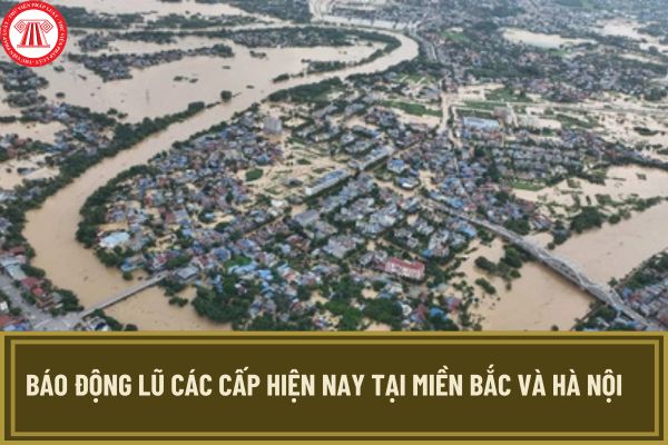 Báo động lũ các cấp hiện nay tại miền Bắc và Hà Nội thế nào? Lũ trên các sông nào đang báo động vượt cấp 3?