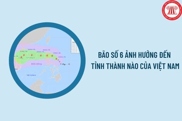 Bão số 6 ảnh hưởng đến tỉnh thành nào của Việt Nam? Bão số 6 (Bão TraMi) đi vào biển đông khi nào?