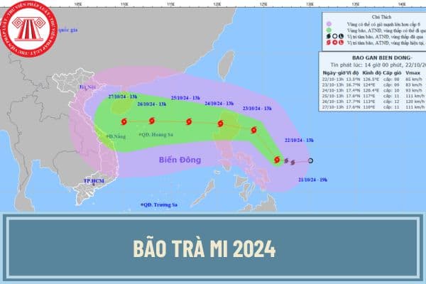 Bão Trà Mi 2024 đang ở đâu? Bão Trà Mi có ảnh hưởng Việt Nam không? Tình hình Bão Trà Mi mới nhất?