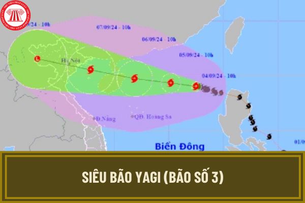 Siêu bão YAGI (bão số 3) đổ bộ vào Việt Nam giật cấp bao nhiêu? Chỉ đạo ứng phó khẩn cấp bão YAGI mới nhất Thủ tướng thế nào?