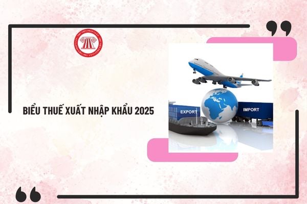 Biểu thuế xuất nhập khẩu 2025? File excel biểu thuế xuất nhập khẩu mới nhất 2025 tải về ở đâu?