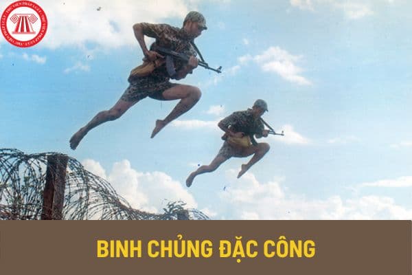 Binh chủng đặc công là ai? Có bao nhiêu loại binh chủng đặc công trong quân đội nhân dân Việt Nam?