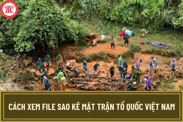 Cách xem File sao kê Mặt trận Tổ quốc Việt Nam 12.028 trang ủng hộ đồng bào thiệt hại do bão số 3?