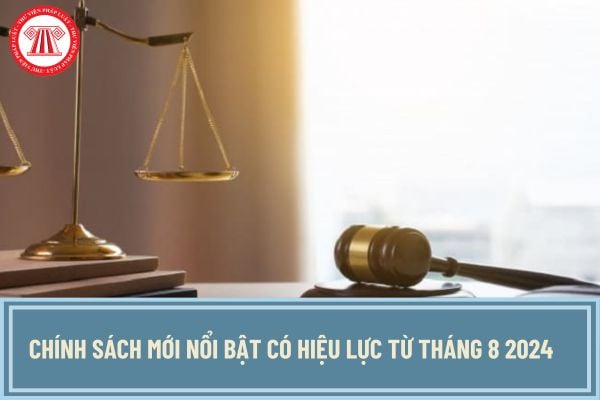 Chính sách mới nổi bật có hiệu lực từ tháng 8 2024? Chính thức Luật Đất đai 2024 có hiệu lực từ 1/8/2024?