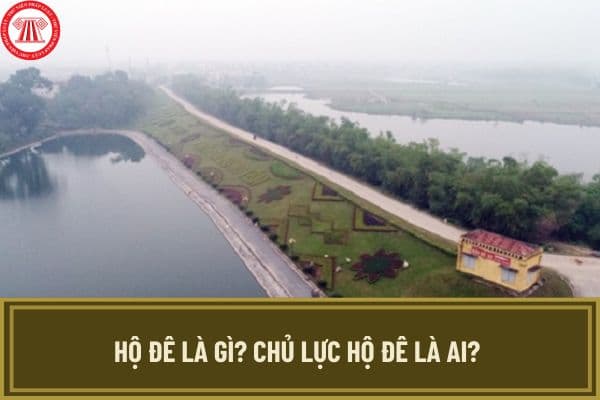 Hộ đê là gì? Chủ lực hộ đê là ai? Ai là lực lượng chủ lực thực hiện nhiệm vụ hộ đê, phân lũ, làm chậm lũ?