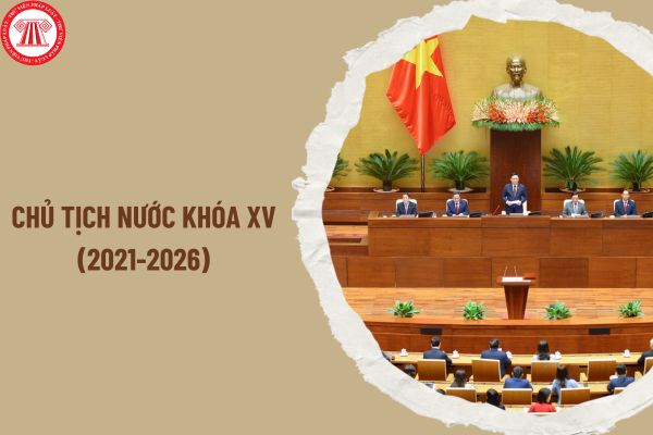 Trung ương đồng ý cho Chủ tịch nước khóa XV (2021-2026) thôi giữ các chức vụ nào? Ai sẽ nắm quyền khi Chủ tịch nước thôi giữ chức vụ?