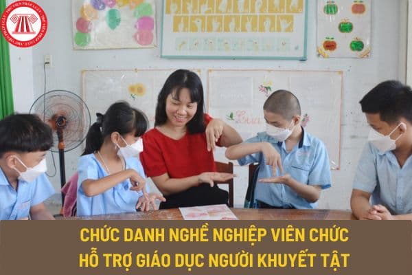 Bổ nhiệm và xếp lương theo chức danh nghề nghiệp đối với viên chức hỗ trợ giáo dục người khuyết tật theo nguyên tắc như thế nào?