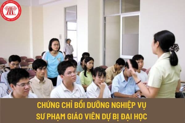 Trường hợp nào giáo viên dự bị đại học được xác định là có chứng chỉ bồi dưỡng nghiệp vụ sư phạm dành cho giáo viên THPT?