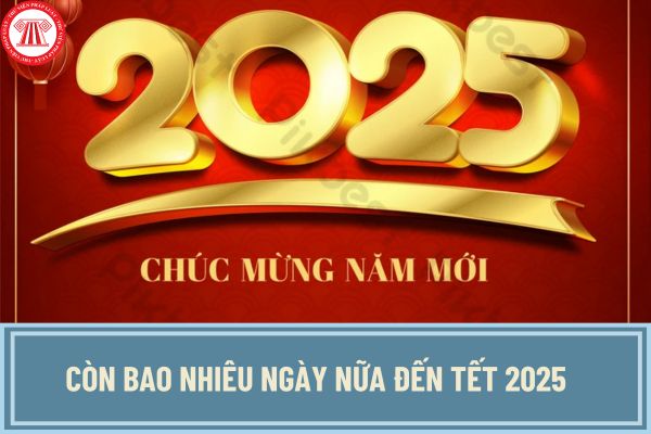 Còn bao nhiêu ngày nữa đến Tết 2025? Đếm ngược ngày đến Tết 2025?