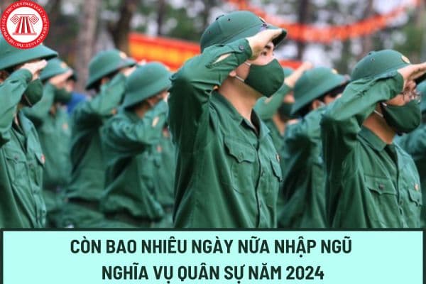 Còn bao nhiêu ngày nữa nhập ngũ nghĩa vụ quân sự năm 2024? Nghĩa vụ quân sự năm 2024 đi mấy năm?