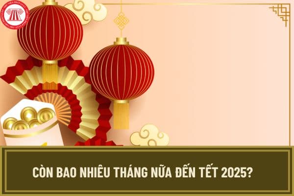 Còn bao nhiêu tháng nữa đến Tết 2025? Mùng 1 Tết Dương lịch 2025 vào ngày mấy âm lịch, vào thứ mấy trong tuần?