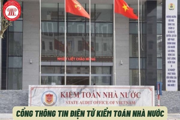 Cổng thông tin điện tử Kiểm toán nhà nước là gì? Thông tin trên cổng thông tin điện tử Kiểm toán nhà nước có những gì?