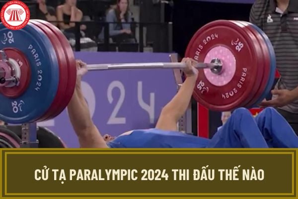 Cử tạ paralympic 2024 thi đấu thế nào? VĐV đạt huy chương môn cử tạ paralympic 2024 được thưởng bao nhiêu?