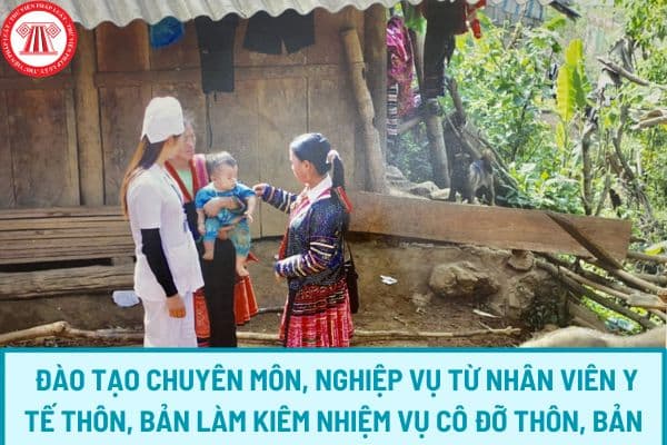 Nội dung đào tạo chuyên môn, nghiệp vụ từ nhân viên y tế thôn, bản làm kiêm nhiệm vụ cô đỡ thôn, bản như thế nào?