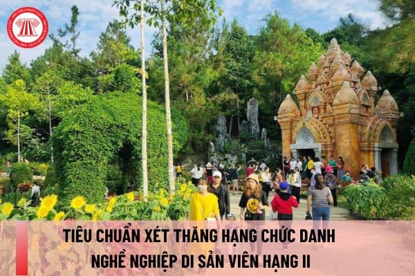 Tiêu chuẩn xét thăng hạng chức danh nghề nghiệp di sản viên hạng II áp dụng từ ngày 01/08/2024?