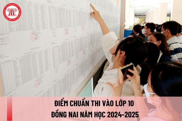 Công bố điểm chuẩn lớp 10 Đồng Nai năm học 2024-2025 khi nào? Thủ tục nhập học lớp 10 Đồng Nai năm học 2024-2025 thế nào?
