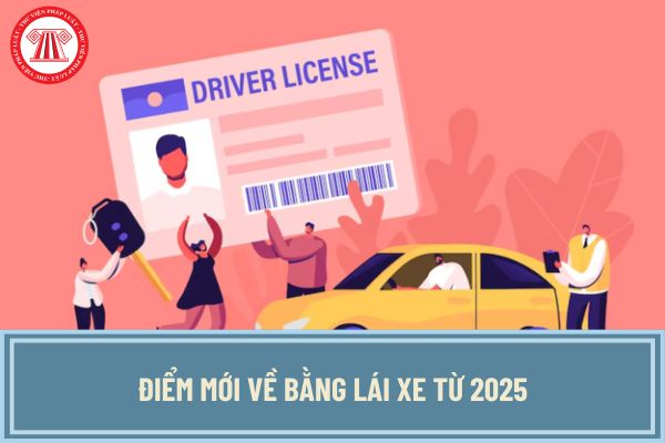 Điểm mới về bằng lái xe từ 2025? Bằng lái xe cấp trước 2025 thì có phải thi lại bằng lái xe mới không?