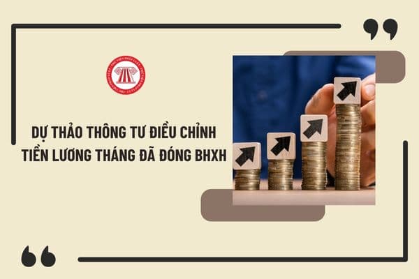 Toàn văn dự thảo Thông tư điều chỉnh tiền lương tháng đã đóng BHXH năm 2025? Xem toàn bộ toàn văn dự thảo ở đâu?