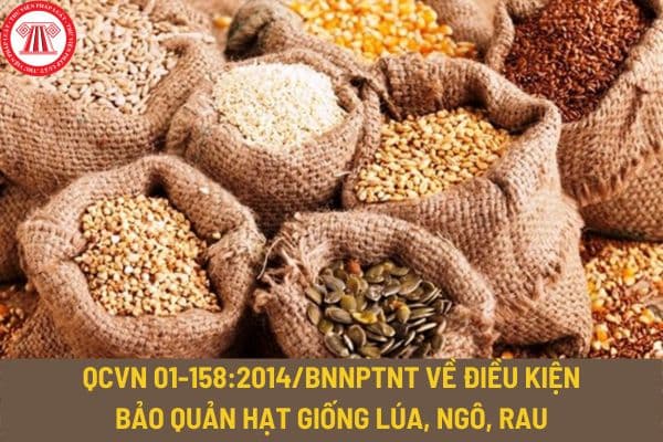 Quy chuẩn kỹ thuật quốc gia QCVN 01-158:2014/BNNPTNT về điều kiện bảo quản hạt giống lúa, ngô, rau như thế nào?