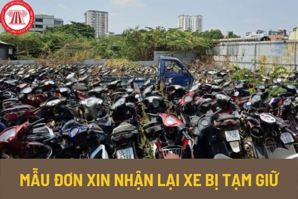 Mẫu đơn xin nhận lại xe bị tạm giữ mới nhất 2023 ra sao? Thủ tục nhận lại xe bị tạm giữ như thế nào?