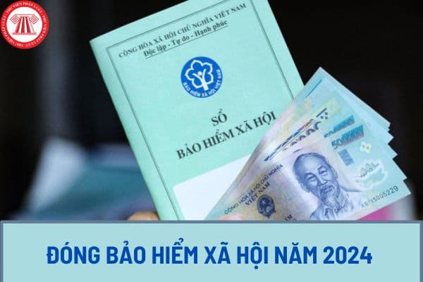 Đóng bảo hiểm xã hội năm 2024 cần giấy tờ gì? Thủ tục đăng ký đóng BHXH năm 2024 được thực hiện như thế nào?
