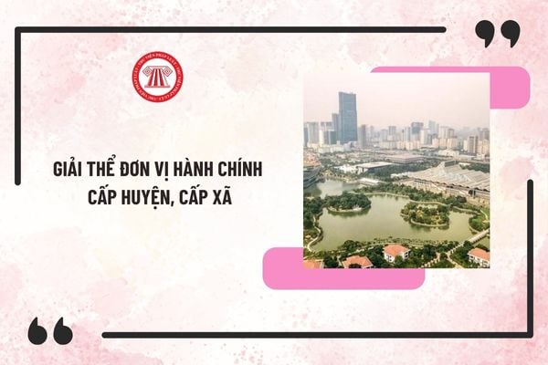 Năm 2025, có tiếp tục giải thể đơn vị hành chính cấp huyện, cấp xã không? Kết quả sắp xếp đơn vị hành chính tính đến 31/12/2024 thế nào?