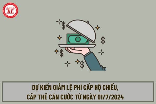 Dự kiến giảm lệ phí cấp hộ chiếu, cấp thẻ căn cước từ ngày 01/7/2024 như thế nào? Giảm 50% lệ phí cấp CCCD đúng không?