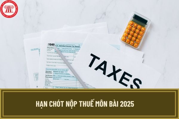 Hạn chót nộp thuế môn bài 2025? Hướng dẫn chi tiết cách nộp thuế môn bài 2025 online mới nhất?