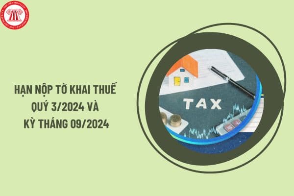 Hạn nộp tờ khai thuế quý 3/2024 và kỳ tháng 09/2024 là khi nào? Có được gia hạn thời gian nộp tờ khai thuế không?