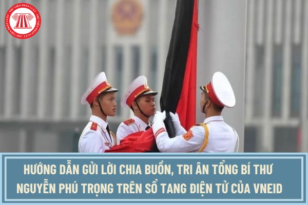 Hướng dẫn gửi lời chia buồn, tri ân Tổng Bí thư Nguyễn Phú Trọng trên Sổ tang điện tử của VNeID?