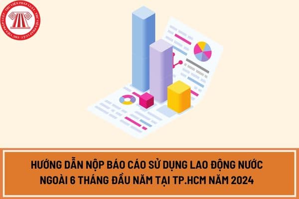 Hướng dẫn nộp báo cáo sử dụng lao động nước ngoài 6 tháng đầu năm tại TP.HCM năm 2024 theo Công văn 12725/SLĐTBXH-VL-ATLĐ?