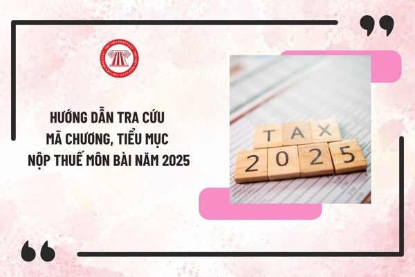 Hướng dẫn tra cứu mã chương, tiểu mục nộp thuế môn bài năm 2025? Mã chương, tiểu mục nộp thuế môn bài năm 2025 thế nào?