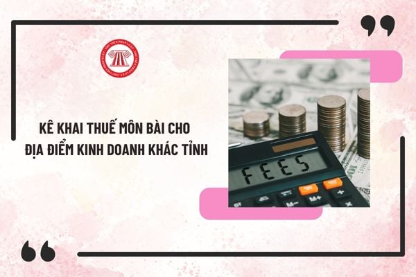 Kê khai thuế môn bài cho địa điểm kinh doanh khác tỉnh ở đâu? Tờ khai thuế môn bài năm 2025 và cách lập mới nhất?