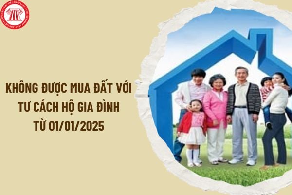 Luật Đất đai 2024 quy định không được mua đất với tư cách hộ gia đình từ 01/01/2025 đúng không?