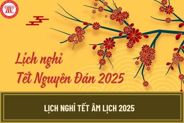 Lịch nghỉ Tết Âm lịch 2025 dự kiến? Tết Âm lịch 2025 người lao động nghỉ liên tiếp 9 ngày đúng không?