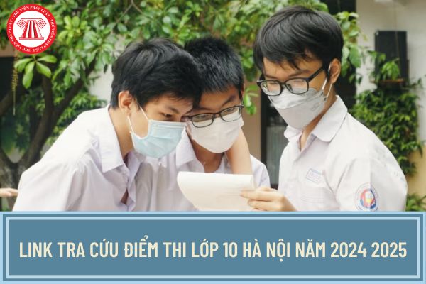 Link tra cứu điểm thi lớp 10 Hà Nội năm 2024 2025? hanoi.edu.vn tra cứu điểm thi lớp 10 thế nào?