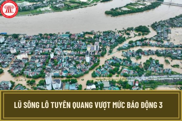 Lũ sông Lô Tuyên Quang vượt mức báo động 3? Khu vực nào tại Tuyên Quang ngập lụt khi lũ sông Lô lên cao?