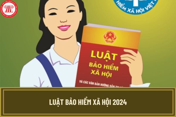 Luật Bảo hiểm xã hội 2024 có hiệu lực khi nào? Quy định chuyển tiếp Luật Bảo hiểm xã hội 2024 thế nào?