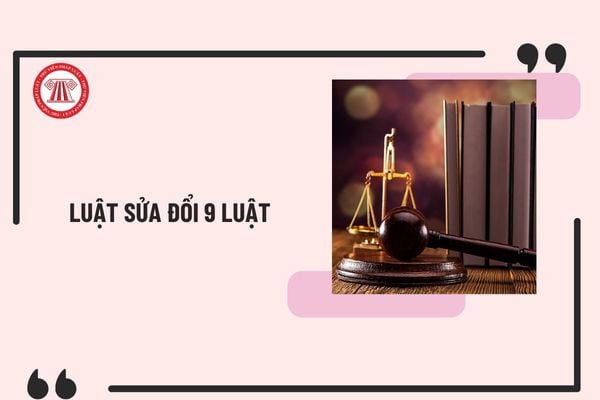 Đã có Luật sửa đổi, bổ sung Luật Chứng khoán, Luật Kế toán, Luật Quản lý thuế, Luật Thuế thu nhập cá nhân, Luật Xử lý vi phạm hành chính 2024?