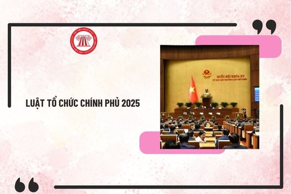 Luật Tổ chức Chính phủ sửa đổi 2025 có hiệu lực từ ngày 1/3/2025? Hiệu lực thi hành Luật Tổ chức Chính phủ 2025?